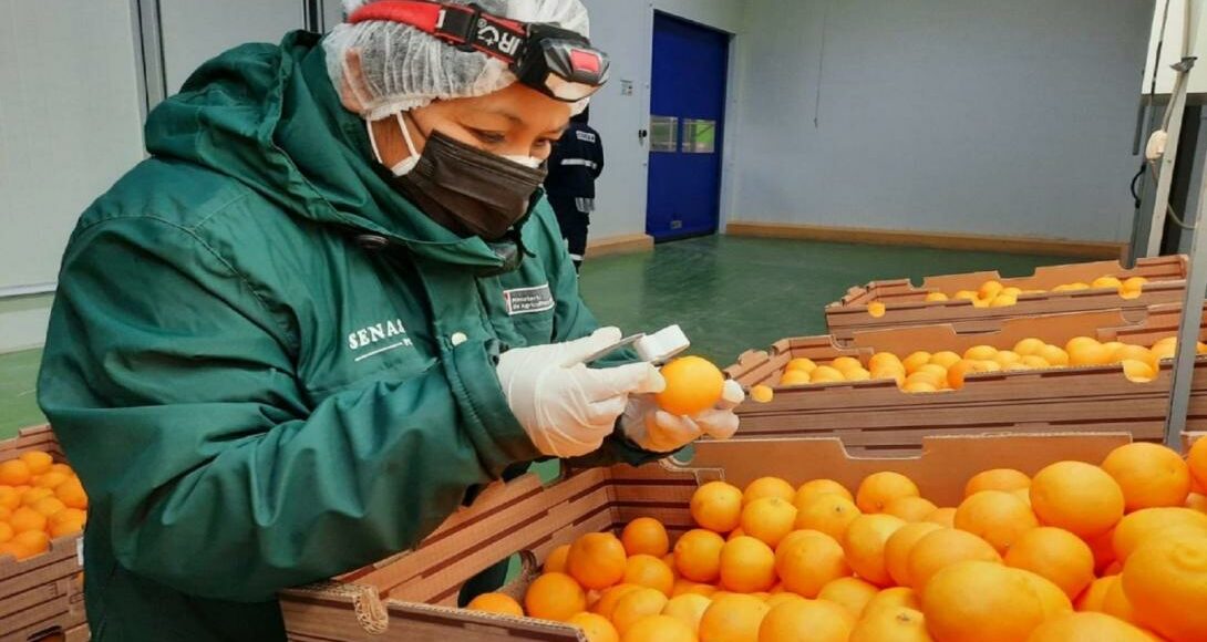 agroexportacion midagri
