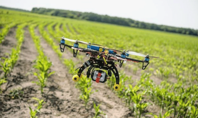 Agricultura de Nueva Fase – Por Matías Strasorier y Maria Rizzo – NODAL – Noticias de América Latina y el Caribe