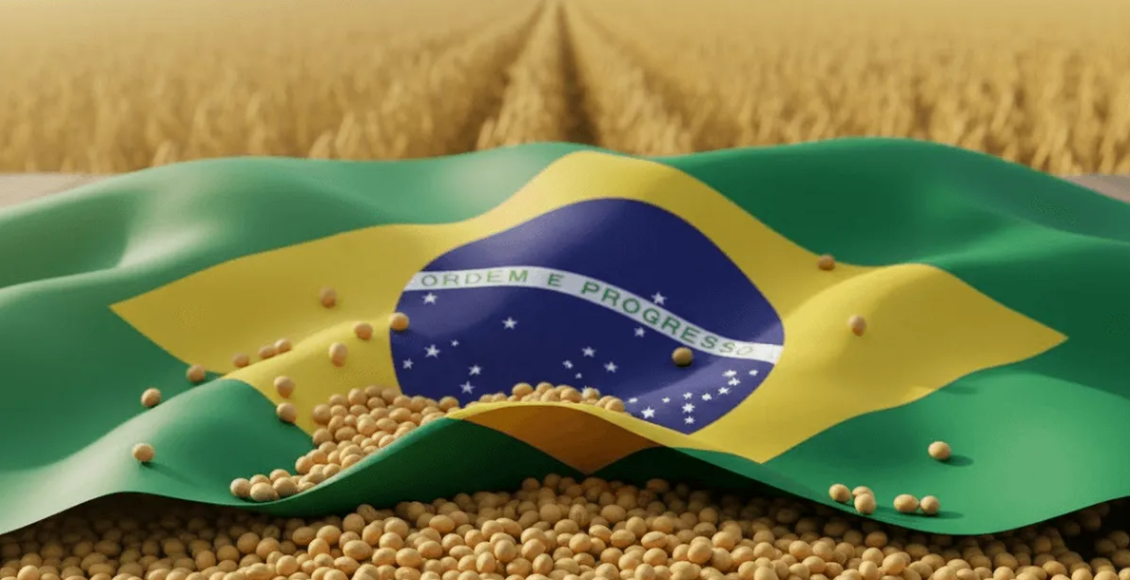 soja brasil
